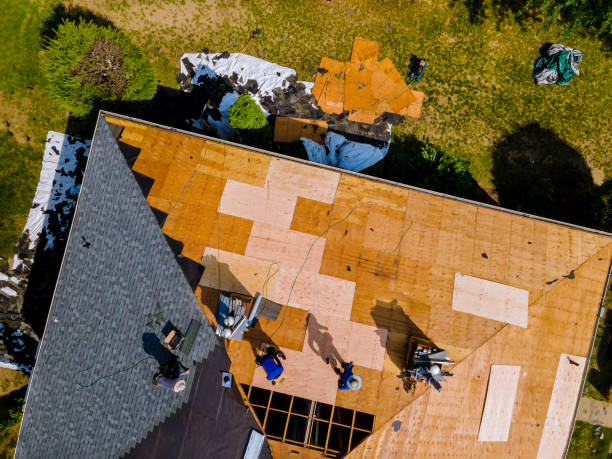 Best Flat Roof Repair Services  in Decatur, IL