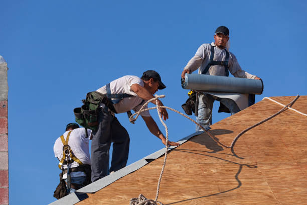 Best Roofing Contractors for Homes  in Decatur, IL