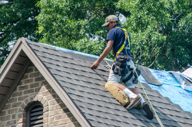 Best Slate Roofing Contractor  in Decatur, IL